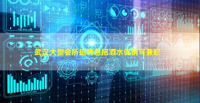 武汉大型会所招聘急招酒水促销可兼职